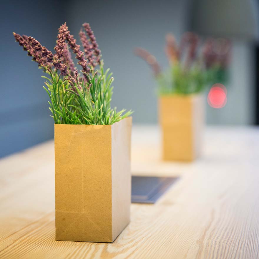 Foodagentur Frankfurt Werbeagentur Food & Co
