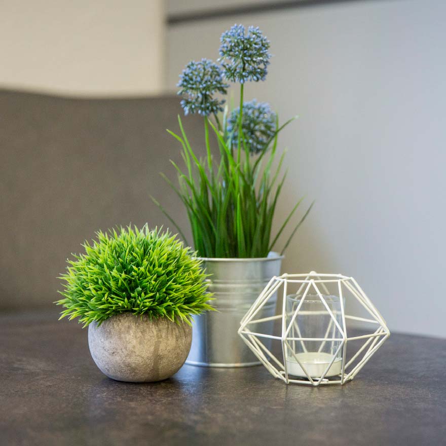 Foodagentur Frankfurt Werbeagentur Food & Co